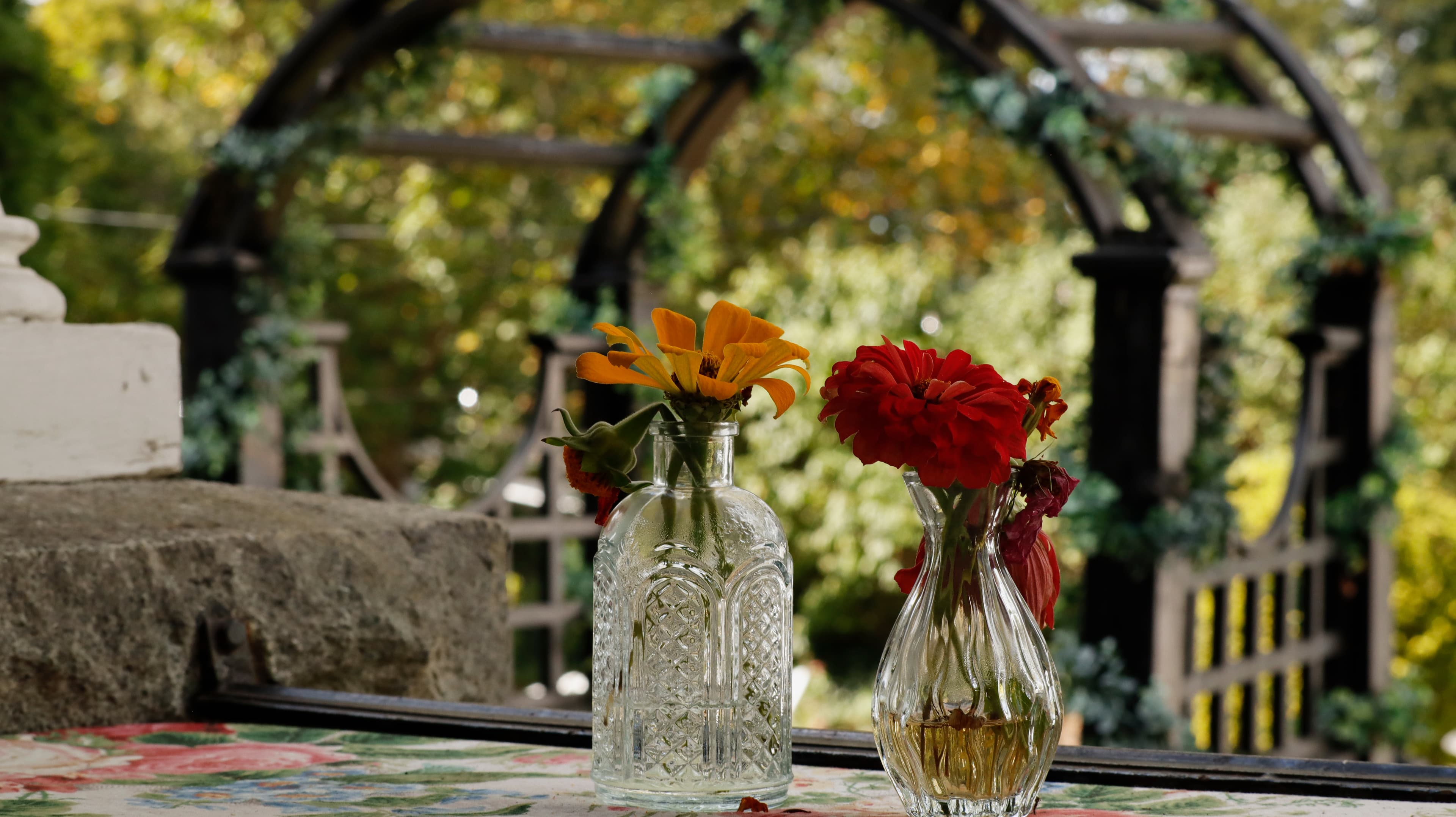 Two glass vases with colorful flowers are placed on a table, with an arched trellis in the background.
