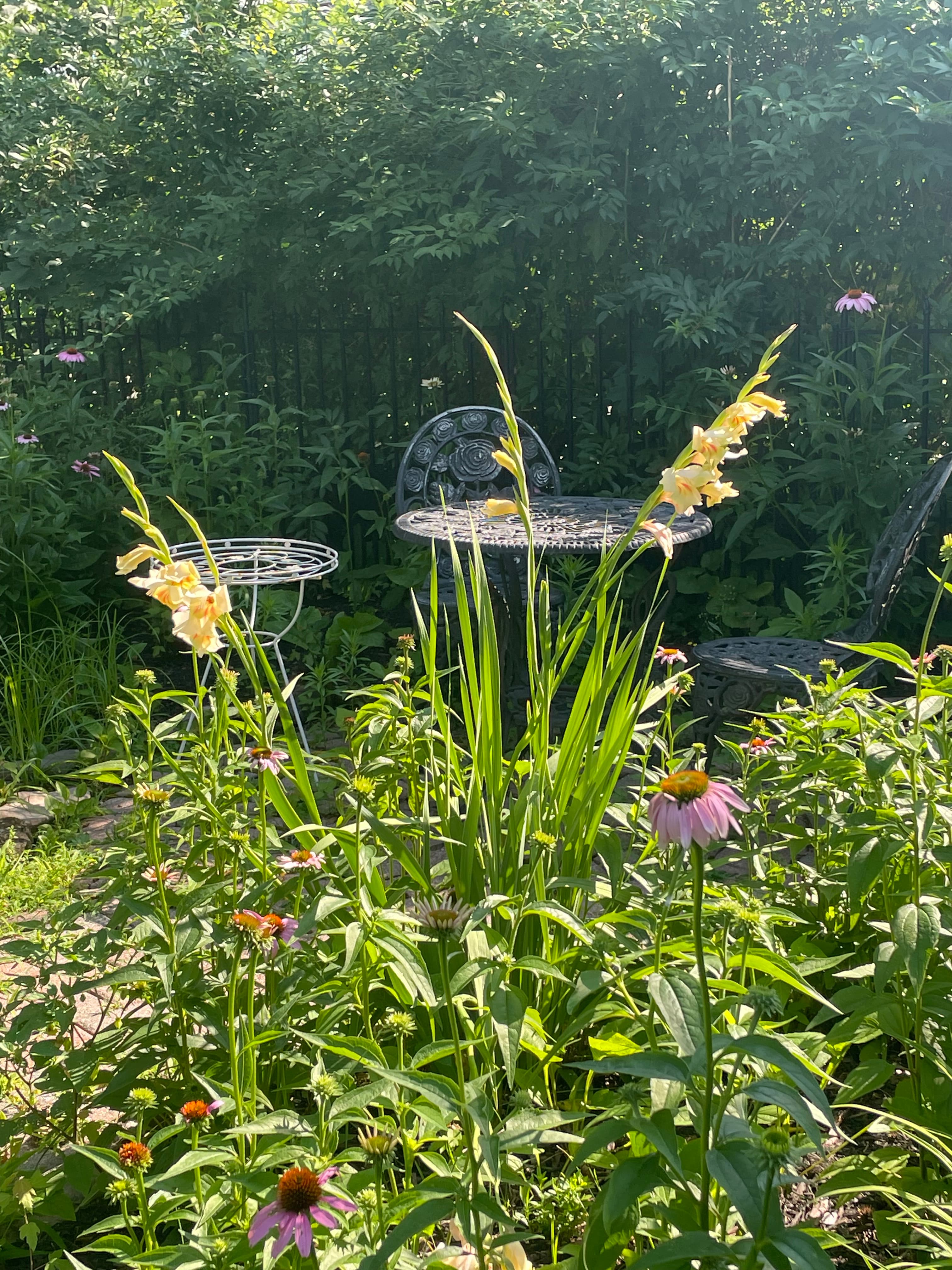Garden Garden